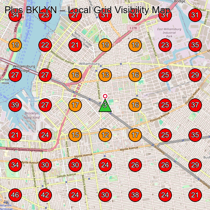 Plus BKLYN GeoGrid visibility map for Plus Size Clothing Store in 4214 12th Ave